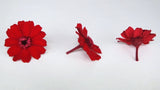 Zinnia preserved Earth Matters - 12 heads - Red 301