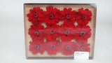 Zinnia preserved Earth Matters - 12 heads - Red 301