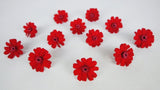 Zinnia preserved Earth Matters - 12 heads - Red 301