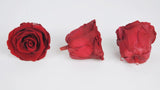 Stabilisierte Rosen Kiara 5 cm - 8 Stück - Royal Red - Si-nature