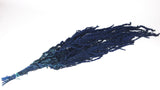 Stabilisierter Amarant - 1 Strauß - Blau - Si-nature