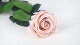 Luxus konservierte Rose mit Stiel 30 cm Kiara - 25 Stück - Antique pink - Si-nature