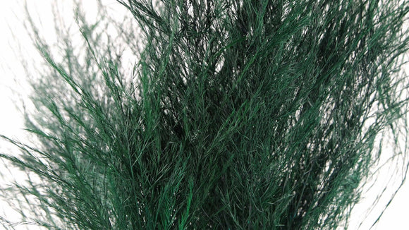 Tree fern preserved - 1 bunch - Green