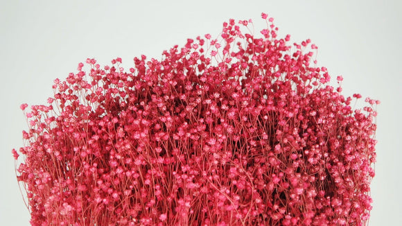 Light Pink Bloom Broom 75 grams, Dried Bloom Broom Flower, Summer Wedding, Pink Bouquet Filler, Small Dried Flowers