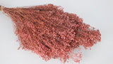 Dried broom bloom - 1 bunch - Vintage pink