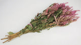 Dried Celosia - 1 bunch - Natural colour pink