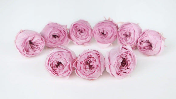 Roses stabilisées Cocotte Earth Matters - 9 têtes - Crystal pink 111