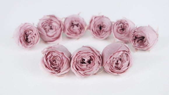 Roses preserved Cocotte Earth Matters - 9 heads - Misty Rose 241