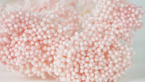 Preserved rice flowers - 1 bunch - Pastel pink