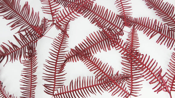 Double fern preserved - 1 bunch - Red