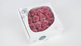 Stabilisierte Rosen 1 cm - 16 Stück - Dusty pink - Si-nature
