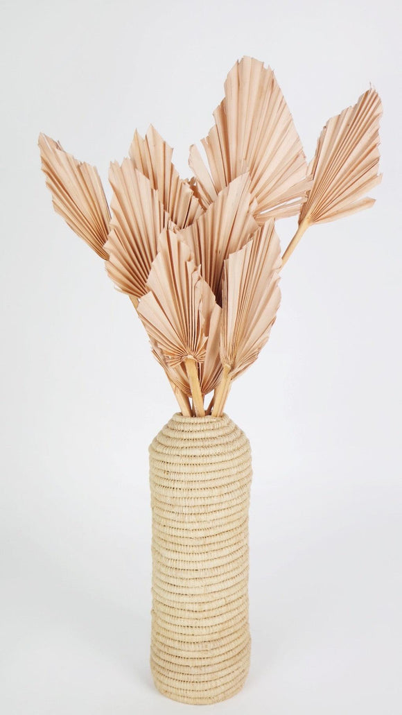 Dried Palm spear M - 10 stems - Nude