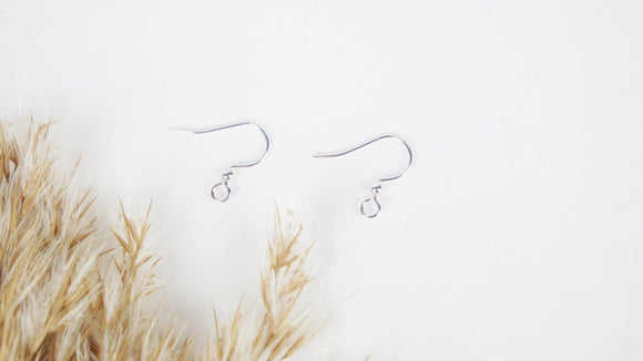 Earring Hooks 304 Stainless Steel, Ear Wire - 2 pieces (1 pair) - Silver plated