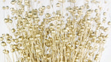Dried flax - 1 bunch - Gold