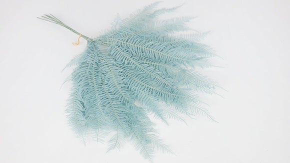 Mountain Fern preserved Earth Matters - 1 bunch - Baby blue 621