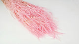 Umbrella Fern preserved - 1 bunch - Light pink