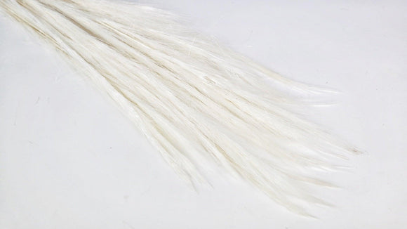 Dried Fox Tail Gras - 1 bunch - White