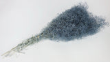 Preserved gypsophila mini - 1 bunch - Blue grey