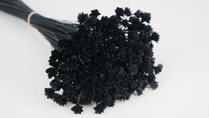 Dried hill flowers - 1 bunch - Black