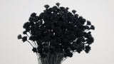 Dried hill flowers - 1 bunch - Black