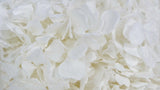 Konservierte Hortensie - 1 Kopf - Weiß - Si-nature