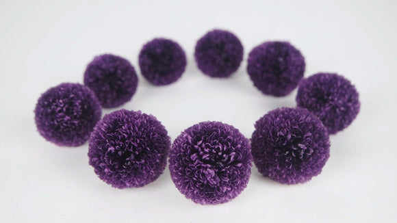 Chrysantheme Pong Pong konserviert Earth Matters - 9 Köpfe - Purple 401