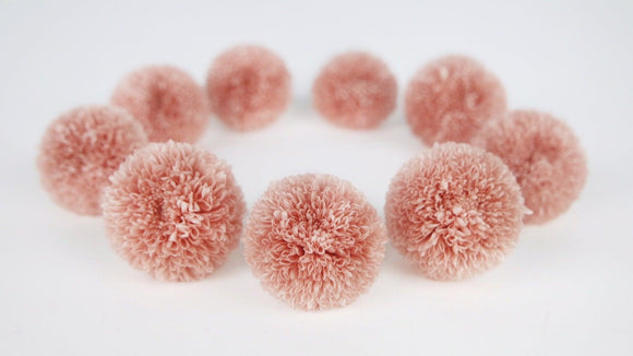 Chrysantheme Pong Pong konserviert Earth Matters - 9 Köpfe - Silky pink 131