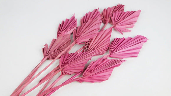 Dried Palm spear S - 10 stems - Dusty pink