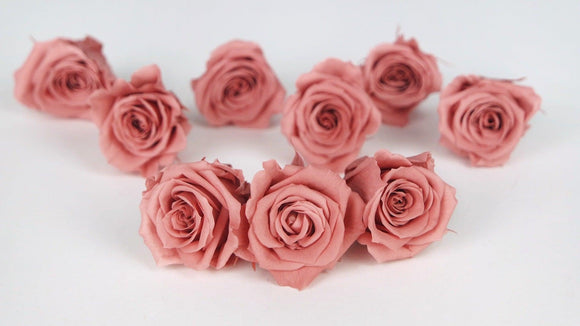 Roses stabilisées Izumi Earth Matters - 9 têtes - Bon bon pink 171
