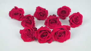 Roses preserved Izumi Earth Matters - 9 heads - Queen red 331