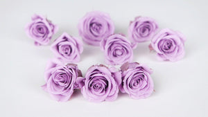 Rosen konserviert Izumi Earth Matters - 9 Köpfe - Sweet lilac 451 - Si-nature