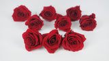 Roses preserved Izumi Earth Matters - 9 heads - Wine red 471