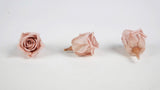 Preserved roses Kiara  2 cm - 12 rose heads - Antique pink