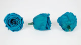 Preserved roses Kiara 6 cm - 6 rose heads - Aqua marine