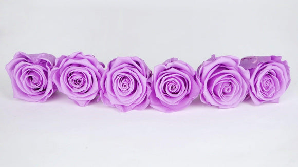 Roses stabilisées Kiara 6 cm - 6 têtes - Baby lili