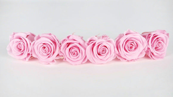 Preserved roses Kiara 6 cm - 6 rose heads - Bridal pink