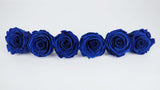 Preserved roses Kiara 6 cm - 6 rose heads - Ocean blue