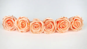 Preserved roses Kiara 6 cm - 6 rose heads - Perfect peach