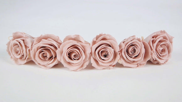 Roses stabilisées Kiara 6 cm - 6 têtes - Antique pink