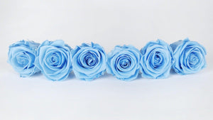 Stabilisierte Rosen Kiara 6 cm - 6 Stück - Baby blue - Si-nature