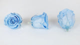 Stabilisierte Rosen Kiara 6 cm - 6 Stück - Baby blue - Si-nature