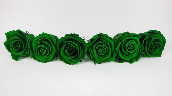 Preserved roses Kiara 6 cm - 6 rose heads - Emerald green