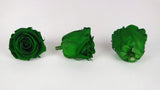 Stabilisierte Rosen Kiara 6 cm - 6 Stück - Emerald green - Si-nature