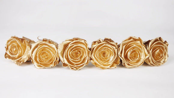 Roses stabilisées Kiara 6 cm - 6 têtes - Gold