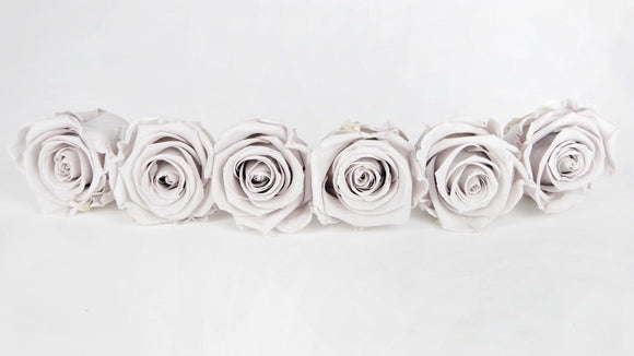 Stabilisierte Rosen Kiara 6 cm - 6 Stück - Grey - Si-nature
