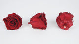 Preserved roses Kiara 6 cm - 6 rose heads - Royal red