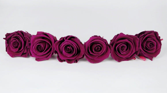 Roses stabilisées Kiara 6 cm - 6 têtes - Velvet plum