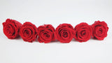 Stabilisierte Rosen Kiara 6 cm - 6 Stück - Vibrant red - Si-nature