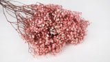 Preserved gypsophila - 1 bunch - Bridal pink