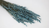 Stabilisierter Lavendel - 1 Bund - Blaugrau - Si-nature